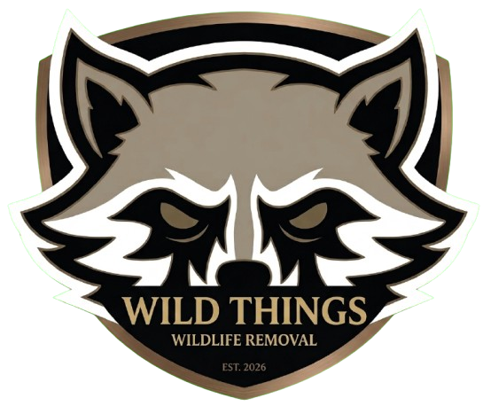 Wild Things Wildlife Removal